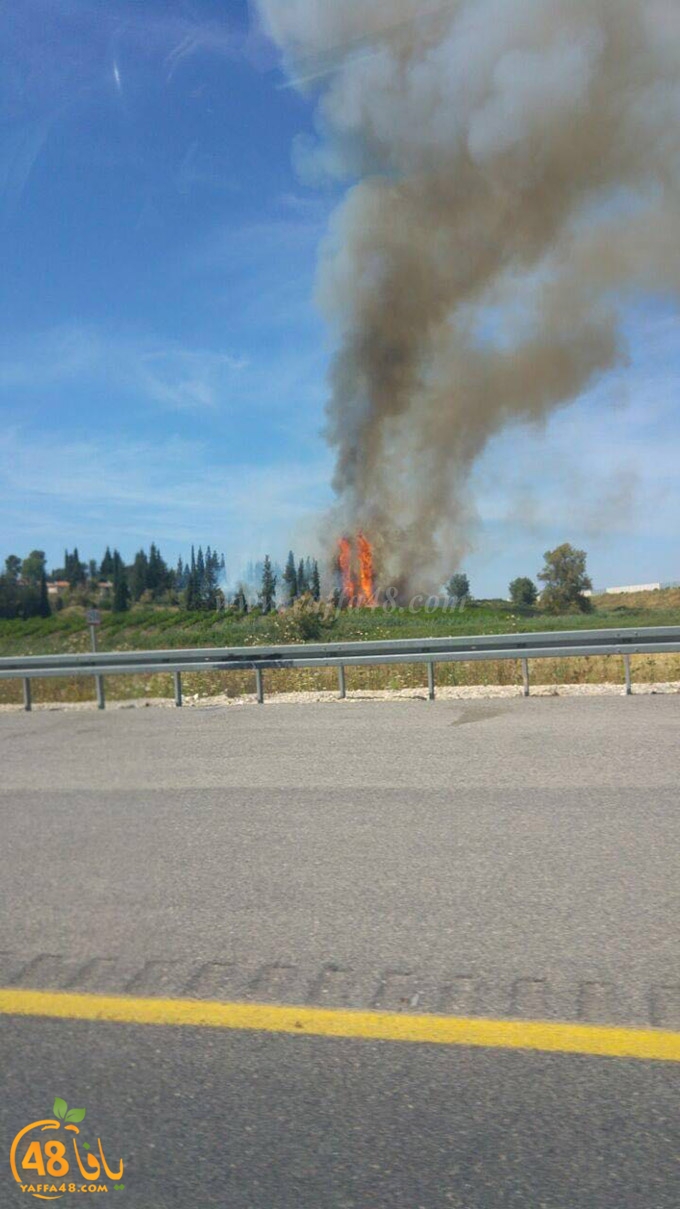 fire lud a7rash (3).jpg